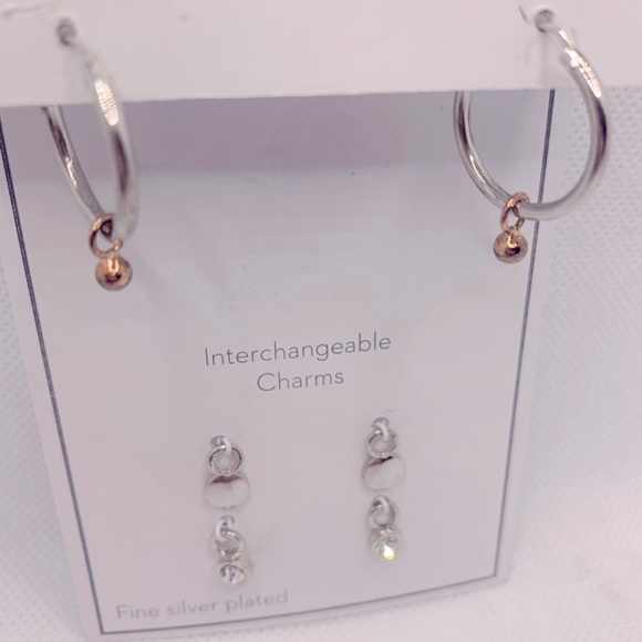 Gold and Silver Interchangeable Earrings Set with Charms - Picture 8 of 8